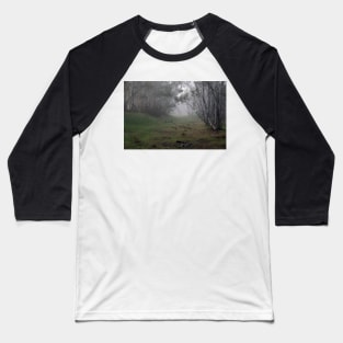 Parrot in the Fog Baseball T-Shirt